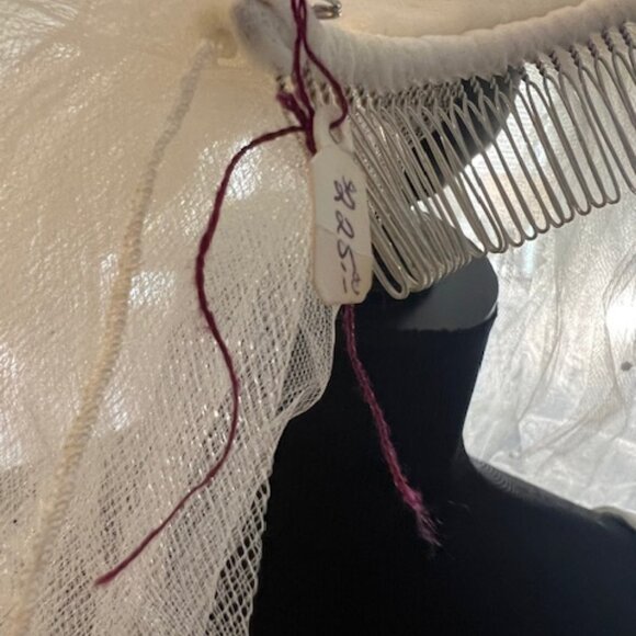NWT Ivory Cathedral Veil w/ rhinestones main image 7